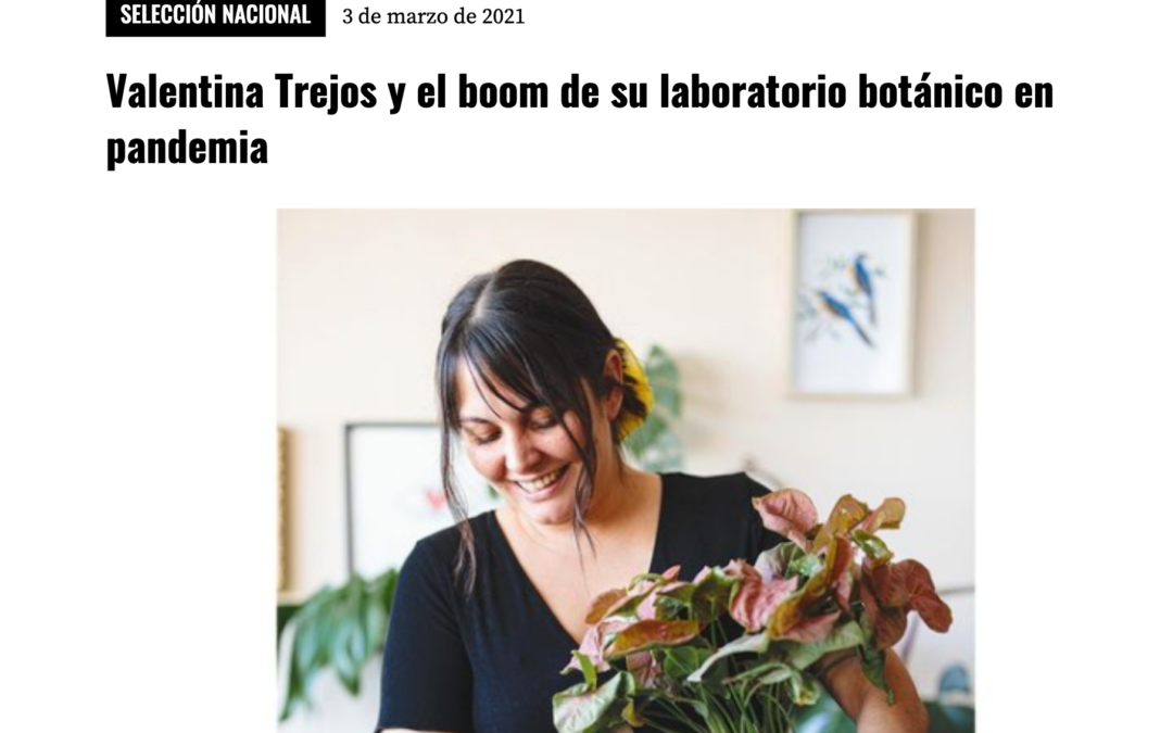 Valentina Trejos y el boom de su laboratorio botánico en pandemia